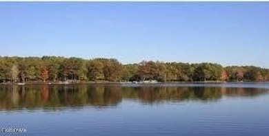 Beautiful wooded lot located just minutes from the Charming town - photo 4