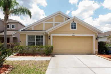 Lake Home For Sale in Riverview, Florida