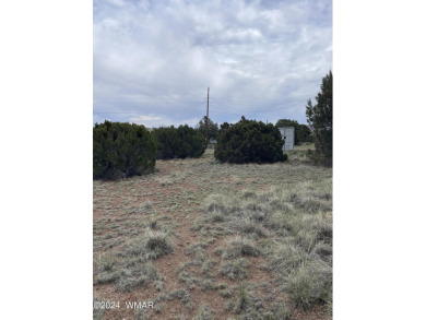 Concho Lake Lot For Sale in Concho Arizona