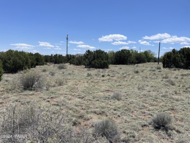 Concho Lake Lot For Sale in Concho Arizona