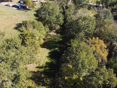 WELCOME TO GOLDEN, TX. Located right in the heart of downtown - photo 12