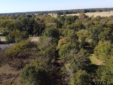 WELCOME TO GOLDEN, TX. Located right in the heart of downtown - photo 15