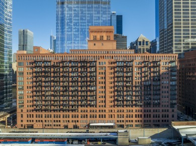 Lake Michigan - Cook County Condo For Sale in Chicago Illinois