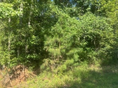 Lake Lot For Sale in Eatonton, Georgia