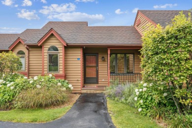 Galena Lake Home For Sale in Galena Illinois