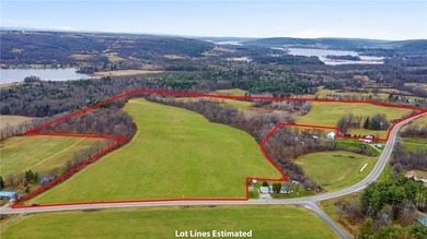 Lamoka Lake Acreage For Sale in Bradford New York