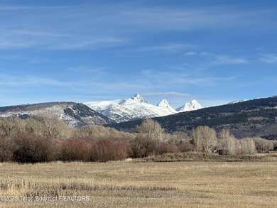 (private lake, pond, creek) Lot For Sale in Victor Idaho