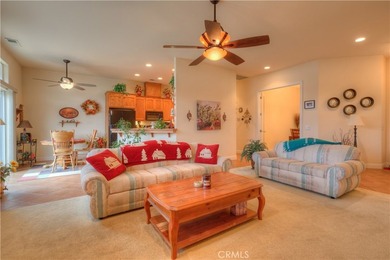 5208 Gold Spring Ct - photo 10