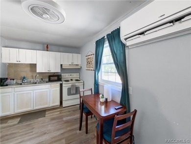 A rare investment opportunity in the heart of Yankeetown - this - photo 6