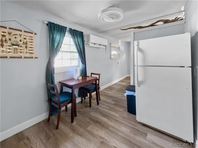A rare investment opportunity in the heart of Yankeetown - this - photo 8