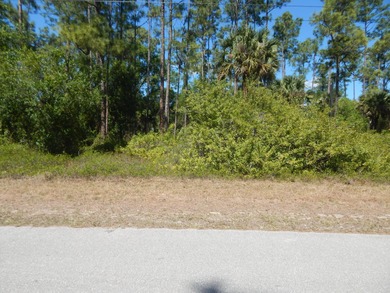 Lehigh Acres Area Lot For Sale in Lehigh Acres Florida