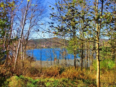 Lake Lot For Sale in Cooperstown, New York