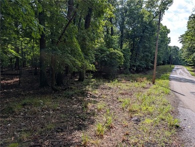 3 acres with Corps frontage on Bull Shoals Lake in Marion County - photo 1