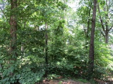 Lake Chatuge Lot For Sale in Hayesville North Carolina