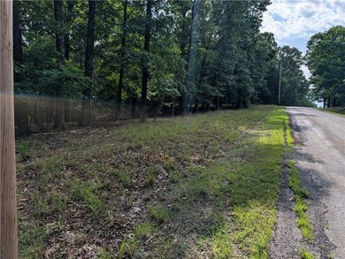3 acres with Corps frontage on Bull Shoals Lake in Marion County - photo 2