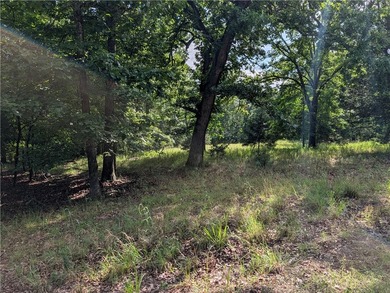 3 acres with Corps frontage on Bull Shoals Lake in Marion County - photo 3