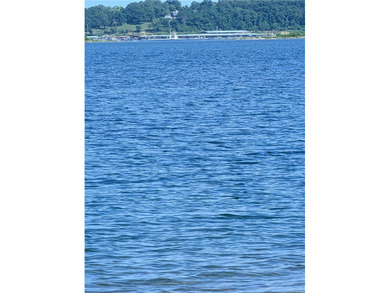 3 acres with Corps frontage on Bull Shoals Lake in Marion County - photo 9