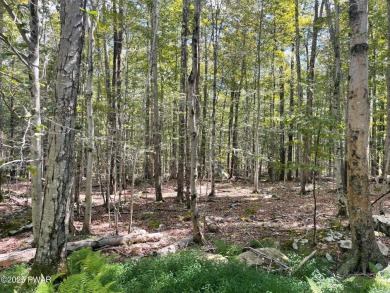 Lake Lot For Sale in Hawley, Pennsylvania