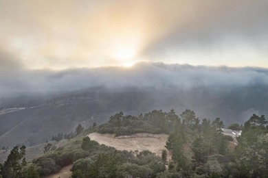 Imagine a blank canvas of 6.94+/- acres, where the beauty of the - photo 2