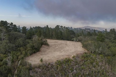 Imagine a blank canvas of 6.94+/- acres, where the beauty of the - photo 3