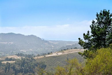 Imagine a blank canvas of 6.94+/- acres, where the beauty of the - photo 5