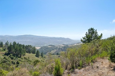 Imagine a blank canvas of 6.94+/- acres, where the beauty of the - photo 6