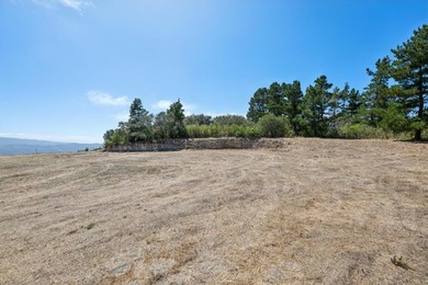 Imagine a blank canvas of 6.94+/- acres, where the beauty of the - photo 7