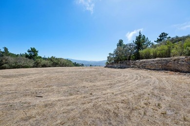 Imagine a blank canvas of 6.94+/- acres, where the beauty of the - photo 8