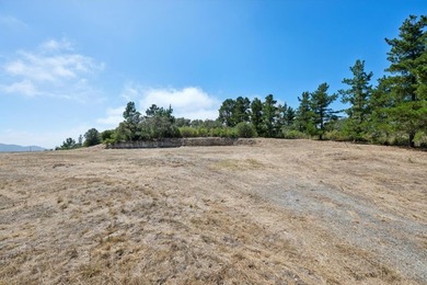Imagine a blank canvas of 6.94+/- acres, where the beauty of the - photo 9