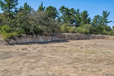 Imagine a blank canvas of 6.94+/- acres, where the beauty of the - photo 10