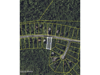 Wildwood Lake Lot For Sale in Lake Ariel Pennsylvania