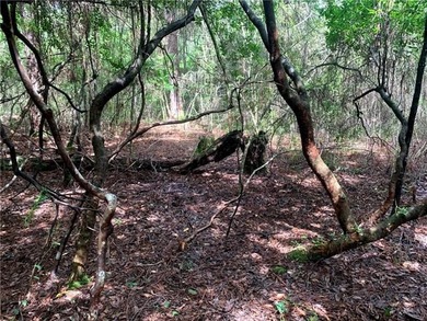 Amazing Opportunity to own a huge property in Mandeville - photo 1