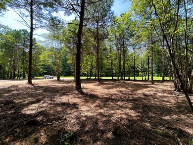 Lake Lot For Sale in Ten Mile, Tennessee