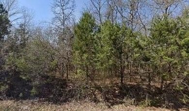 Lake Granbury Lot For Sale in Granbury Texas