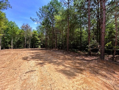 Lake Lot For Sale in Ten Mile, Tennessee
