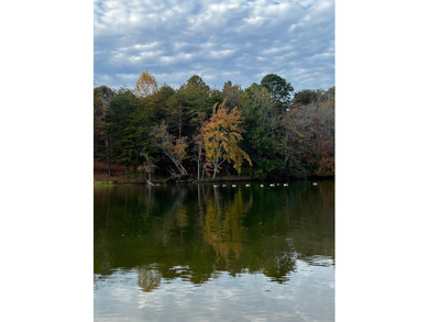 (private lake, pond, creek) Lot For Sale in Spring City Tennessee