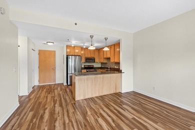 Enjoy the best of downtown Minneapolis in this inviting - photo 16