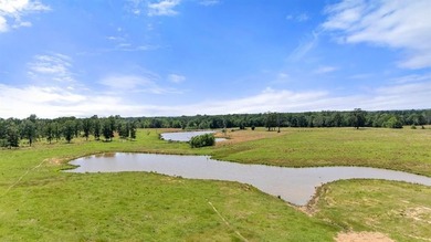 360 Acre Productive Cattle Ranch with large lodge and airplane - photo 19