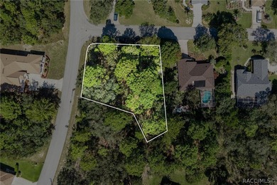 Build your dream home on this oversized, corner lot in Sugarmill - photo 1