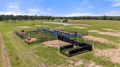 360 Acre Productive Cattle Ranch with large lodge and airplane - photo 22