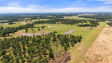 360 Acre Productive Cattle Ranch with large lodge and airplane - photo 23