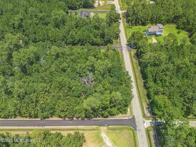Underdeveloped corner lot ready to build your dream home, second - photo 4
