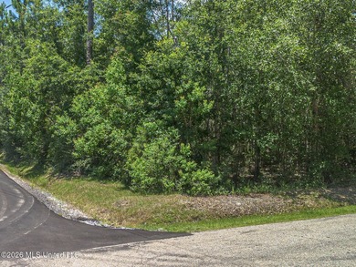 Underdeveloped corner lot ready to build your dream home, second - photo 5