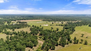 360 Acre Productive Cattle Ranch with large lodge and airplane - photo 25