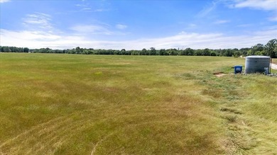 360 Acre Productive Cattle Ranch with large lodge and airplane - photo 26