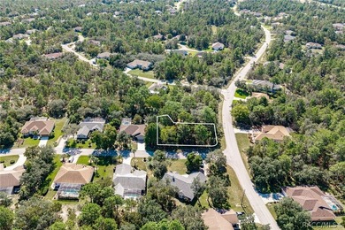 Build your dream home on this oversized, corner lot in Sugarmill - photo 6