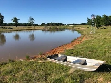 360 Acre Productive Cattle Ranch with large lodge and airplane - photo 38