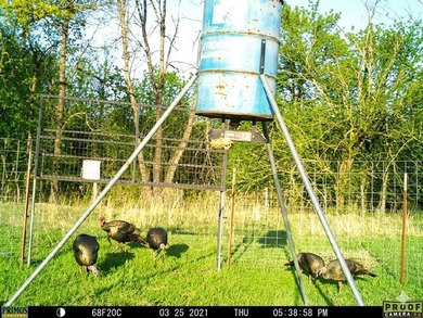 360 Acre Productive Cattle Ranch with large lodge and airplane - photo 43