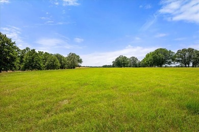 360 Acre Productive Cattle Ranch with large lodge and airplane - photo 44