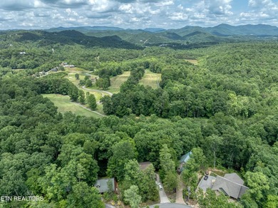 Located in the beautiful gated community of Laurel Valley, this - photo 46